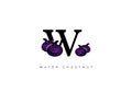 Black WATER CHESTNUT FRUIT Vector, Great combination of Water Chestnut Fruit symbol with letter W