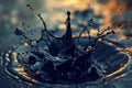 Black water crown splash with golden light reflections and ripples Royalty Free Stock Photo