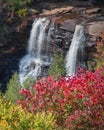 Black water falls in fall