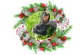 Black water rabbit  is the symbol of 2023 and Christmas decoration baubles with branches of fir tree on white Royalty Free Stock Photo