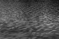 Black water surface with waves. Water ripples. Texture of the water surface Royalty Free Stock Photo