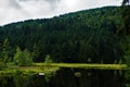 Black water with almost black trees - Lac de Lispach, La Bresse Royalty Free Stock Photo