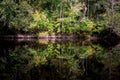 Edisto River Royalty Free Stock Photo