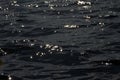 Dark moving  water surface with sparking sun reflections Royalty Free Stock Photo