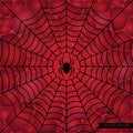Black web on a red cellular background. Spider`s web vector Royalty Free Stock Photo