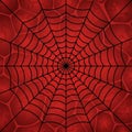 Black web on a red cellular background. Spider`s web vector Royalty Free Stock Photo