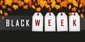 Black week promotion hanging label with autumn leaves Royalty Free Stock Photo