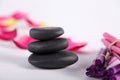 Black wellnes stones with deco Royalty Free Stock Photo