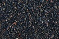 Black wet sea stones on beach Royalty Free Stock Photo