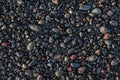 Black wet sea stones on beach Royalty Free Stock Photo