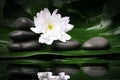 Black spa stones with white flower on green leaf. beauty treatment concept. water reflection