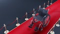 black wheelchair on a red carpet with barrier