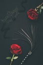 Black whip and lacy mask with rose flowers Royalty Free Stock Photo