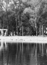Black and whit park abstract pond reflection Royalty Free Stock Photo