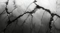 Black and White Abstract Background with Cracked Surface and Intricate Veins for Design Use Royalty Free Stock Photo