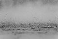 Black white abstract background raindrop on the ground. Royalty Free Stock Photo