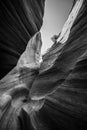 Black and White Abstract Canyon