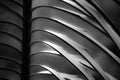 Black and White Abstract closeup of Sunlit Palm Leaves Royalty Free Stock Photo