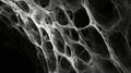 Black and white abstract of intricate network structure