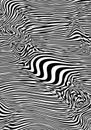 Black and white abstract pattern featuring curvilinear, wavy lines Royalty Free Stock Photo