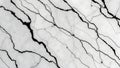 Black and white abstract patterns resembling cracks on a surface Royalty Free Stock Photo