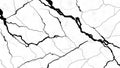 Black and white abstract patterns resembling cracks on a surface Royalty Free Stock Photo