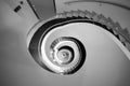 Black and white abstract spiral staircase Royalty Free Stock Photo