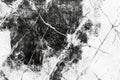 Black and White Abstract Texture with Scratches and Cracks Royalty Free Stock Photo