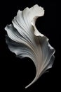 black and white abstraction of acanthus leaf