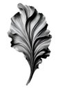 black and white abstraction of acanthus leaf