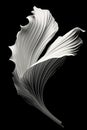 black and white abstraction of acanthus leaf