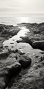 Black And White Aerial Photography Of Rocky Beach And Water Royalty Free Stock Photo