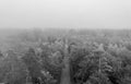 Black and white aerial view at the car traffic on a road between a forest in foggy conditions, nice misty view from the