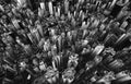 Black and white of aerial view of Hong Kong Downtown. Financial