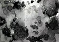 Black and white alcohol ink abstract monochrome background, splashes and stains, painting hand drawing