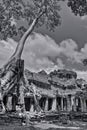 Black and White Angkor Wat Photo Royalty Free Stock Photo