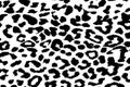 Seamless abstract background of black and white animal print background