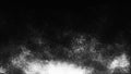 Black and white animation of bright particles flying upwards. Dynamic particles float chaotically in slow motion in