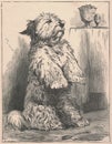Black and white antique illustration shows a cute dog inside. Vintage drawing shows the dog that sits up on its hind
