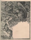 Black and white antique illustration shows squirrels. Vintage marvellous illustration shows the squirrels on the hazel
