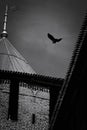 Black and white art photo - an old brick castle with a carved roof and a weather vane and a flying crow. Royalty Free Stock Photo