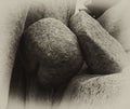 Black and white photo of sea stones round and triangular