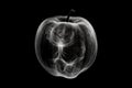 Black and white artistic conceptual illustration of a beautiful apple closeup. Generative AI