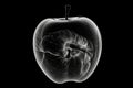 Black and white artistic conceptual illustration of a beautiful apple closeup. Generative AI