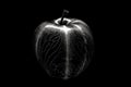 Black and white artistic conceptual illustration of a beautiful apple closeup. Generative AI