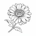 Black And White Aster Flower Coloring Page For Kids