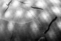 Abstract black and white background of cracked eggshell Royalty Free Stock Photo