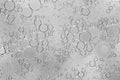 Black and white background of large and small soap bubbles