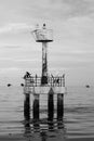 The black and white background of lighthouse with birds in the sea, Thailand Royalty Free Stock Photo