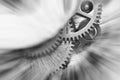 Black and white background. Metal Cogwheels in clock mechanism. Macro